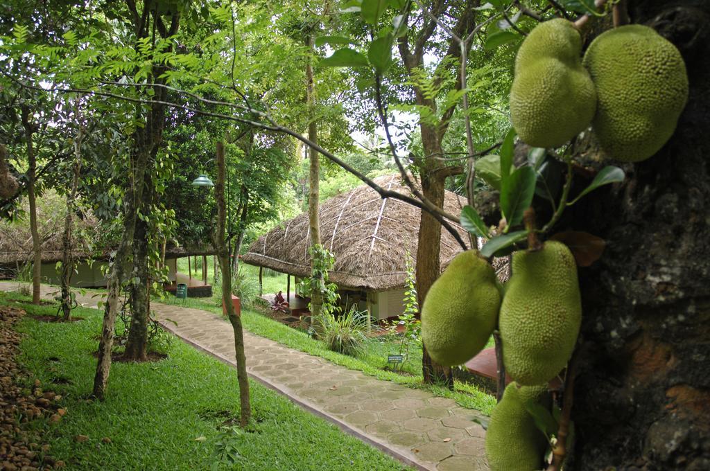 Spice Village Thekkady - A Cgh Earth Experience 외부 사진